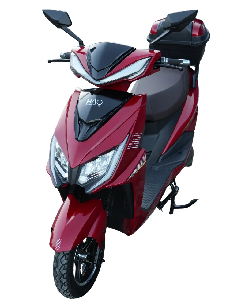 Conquest Plus - foto 1