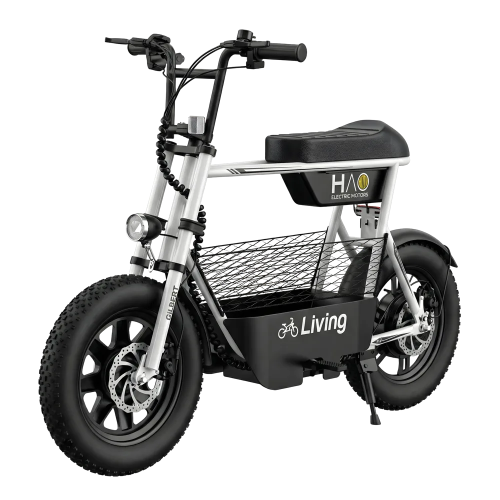 Living Gilbert - miniatura 2