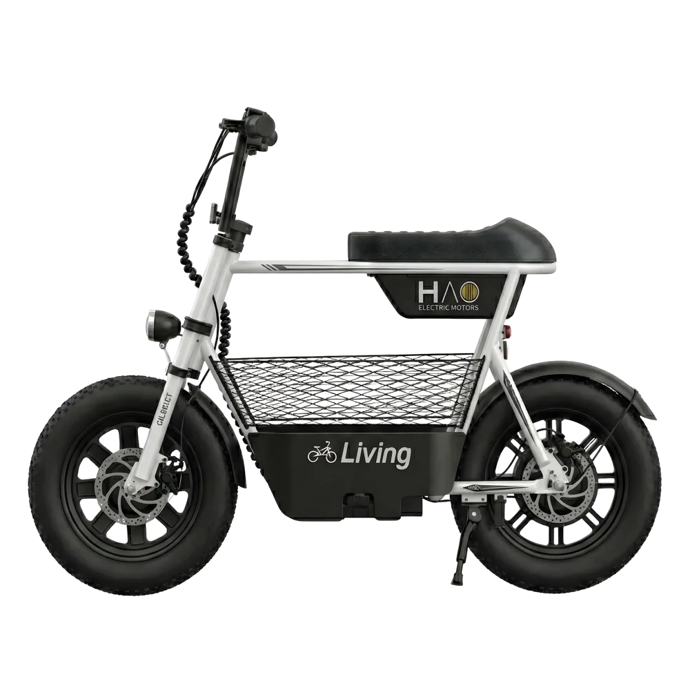 Living Gilbert - miniatura 3